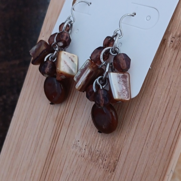 Multi Colored Brown Stone/Glass Dangle Earrings - Picture 9 of 9